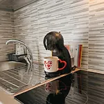 San Carlo - Stelvio - Con Terrazzo Apartamento 3*